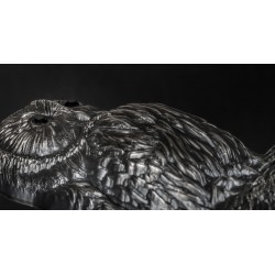 URAL OWL MONGOLIA WILDLIFE 3D 3 Oz 1000 TOGROG MONGOLIA 2019