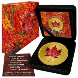 CANADIAN SILVER RED MAPLE COLORIZED GOLD GILDED 1 OZ 2019