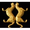 TIGER MILITARY ORDER COIN 2 x 1 OZ 2 x 2 DOLLARS NIUE 2022