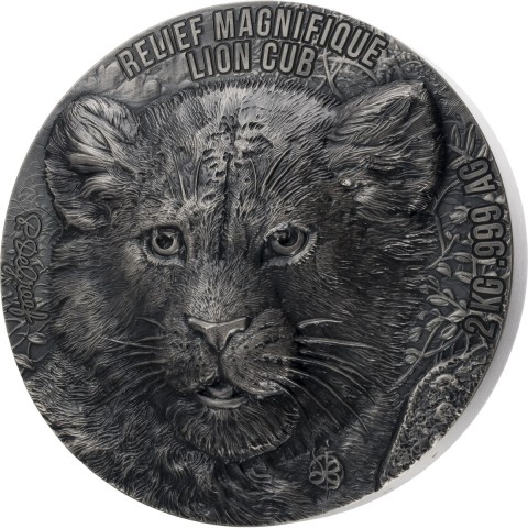 BABY TIGER RELIEF MAGNIFIQUE LION CUB DE GREEF 2 KG 20000 FRANCS REPUBLIQUE DU BENIN 2023
