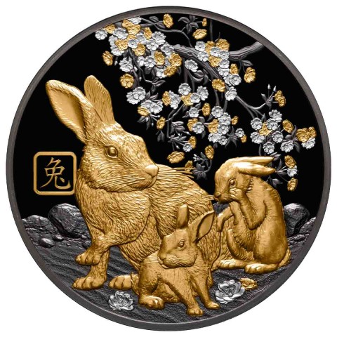 LUNAR YEAR OF THE RABBIT 5 OZ 10 DOLLARS SILVER GOLD - GILDED BLACK PROOF COIN NIUE 2023