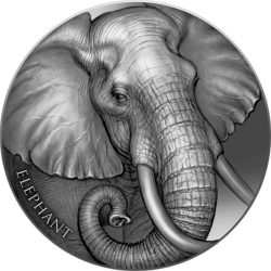 ELEPHANT EXPRESSIONS OF WILDLIFE 2 OZ SILVER COIN 2000 FRANCS CAMEROON 2023