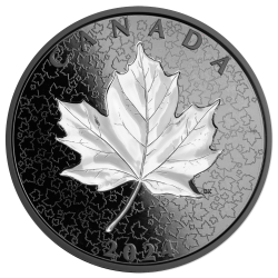 MAPLE LEAVES IN MOTION BLACK RHODIUM 5 OZ 50 DOLLARS SILVER COIN CANADA 2024