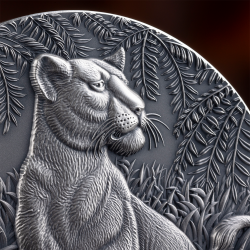 THE GRACE OF LIONESS 2 OZ 2000 FRANCS SILVER COIN CAMEROON 2024