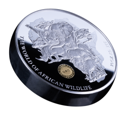 AFRICAN NATIONS WORLD OF AFRICAN NATIONS 10 OZ 3000 FRANCS SILVER COIN UNITED AFRICAN COUNTRIES 2025