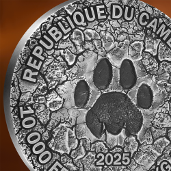 THE GRAND HUNTING CIRCLE OF LIFE 1 KG 10000 FRANCS SILVER COIN CAMEROON 2025