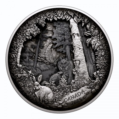 PREDATOR OR PRAY IN SHADOW BOX 738.92 G. 175 DOLLARS SILVER COIN CANADA 2025