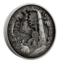 PREDATOR OR PRAY IN SHADOW BOX 738.92 G. 175 DOLLARS SILVER COIN CANADA 2025