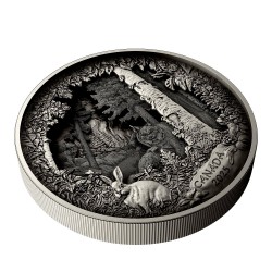 PREDATOR OR PRAY IN SHADOW BOX 738.92 G. 175 DOLLARS SILVER COIN CANADA 2025