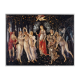 PRIMAVERA BY SANDRO BOTTICIELLI 2,5 Oz Ag 750 g. Zn, 120 G. Cu 10000 FRANCS REPUBLIQUE DU CHAD 2024
