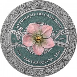 AMAZONKA AMAZON FEMINA BELLATOR SERIA 2 OZ 2000 FRANCS SREBRNA MONETA KAMERUN 2025