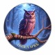 OSIRA OWL - FOREST TOTEMS 1 OZ 1 DOLLAR UNITED STATES OF AMERICA SILVER COIN 2025