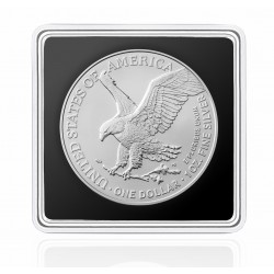 RADIARA THE RADGOLL - NEBULA CATS 1 OZ 1 DOLLAR SILVER COIN USA 2025