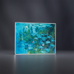 WATER LILIES ART GALLERY 1 OZ 1000 FRANCS SILVER COIN CAMEROON 2026