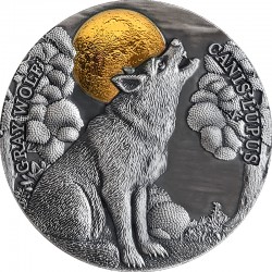 GRAY WOLF WILDLIFE IN THE MOONLIGHT 2 OZ SILVER COIN 5 DOLLARS NIUE 2020